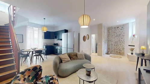 Prywatny pokój 1 Rue Manescau, 64000 Pau, France, obraz 9 21