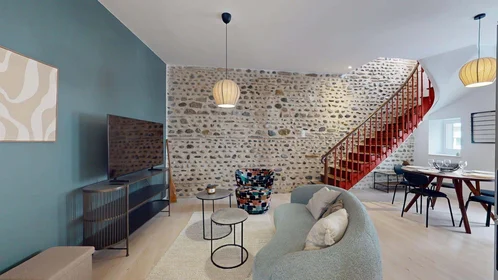 Prywatny pokój 1 Rue Manescau, 64000 Pau, France, obraz 10 21