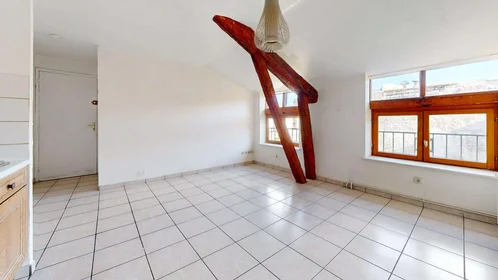 Entire apartment at 16 Rue Pnte Cadet, 42000 Saint-Étienne, France, image 1 of 15