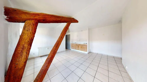 Entire apartment at 16 Rue Pnte Cadet, 42000 Saint-Étienne, France, image 3 of 15