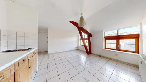 Entire apartment at 16 Rue Pnte Cadet, 42000 Saint-Étienne, France, image 6 of 15
