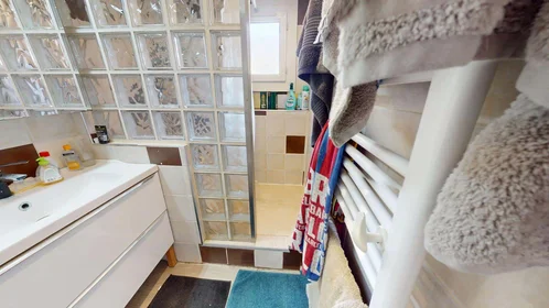 Stanza privata in 41 Rue Séverine, 69100 Villeurbanne, France, immagine 14 di 17