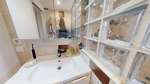 Stanza privata in 41 Rue Séverine, 69100 Villeurbanne, France, immagine 13 di 17