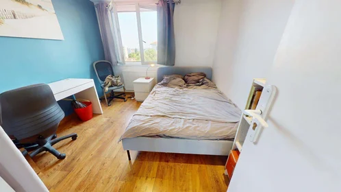 Stanza privata in 41 Rue Séverine, 69100 Villeurbanne, France, immagine 4 di 17