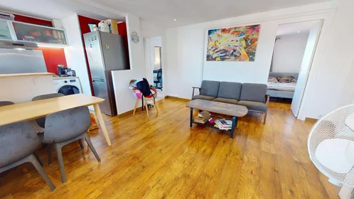 Stanza privata in 41 Rue Séverine, 69100 Villeurbanne, France, immagine 7 di 17