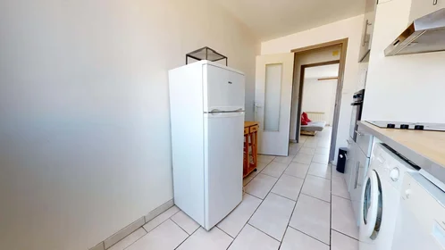 Gesamte Unterkunft in der 48 Bd Maréchal Foch, 38000 Grenoble, France, bild 16 von 26
