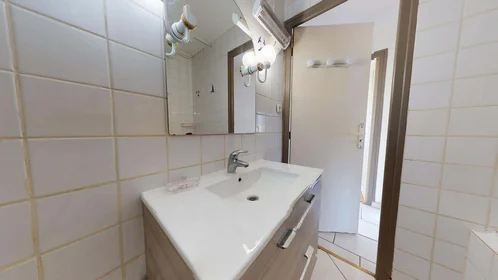 Gesamte Unterkunft in der 48 Bd Maréchal Foch, 38000 Grenoble, France, bild 24 von 26
