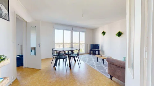 Privatzimmer in der 64 Bd Gaston Birgé, 49100 Angers, France, bild 6 von 20