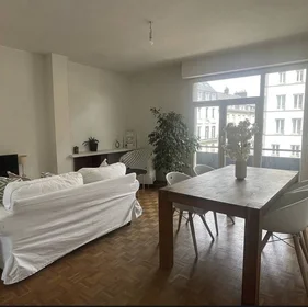 Room for rent in a shared flat in {area}
