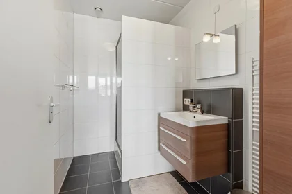 Apartamento inteiro em Burghardt van den Berghstraat, imagem 5 de 9