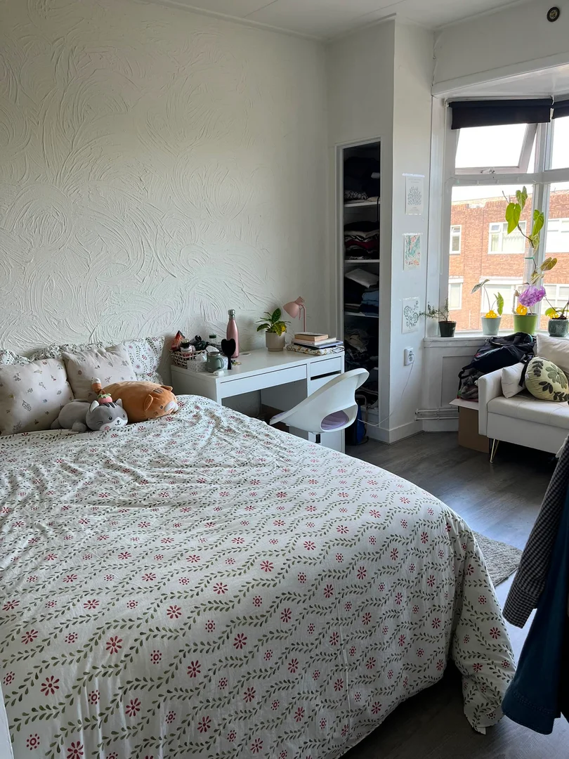 Habitación estudiantil amplia y cómoda en 