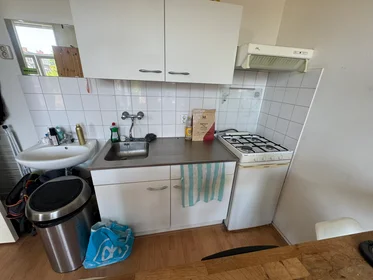 Private room at Helper Oostsingel, image 1 of 4