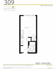 Kawalerka w rezydencji 603, Concord Ave., Unit 208, Cambridge Highlands, Cambridge, MA, 02138, obraz 14 14