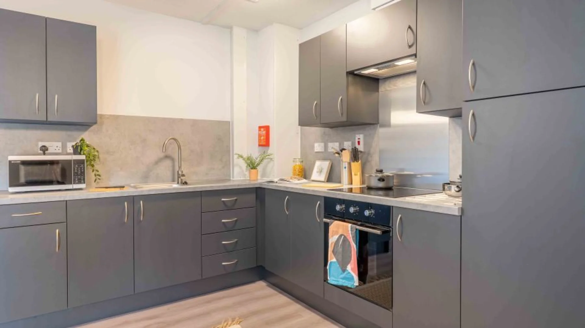 Student-friendly room in  with modern amenities