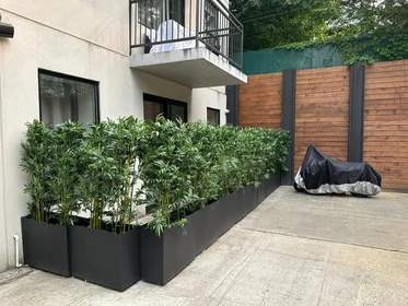 Appartamento intero in residence in 987 Willoughby Avenue,  1E, Bushwick, Brooklyn, NY, 11221, immagine 13 di 15