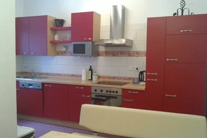Gesamte Unterkunft in der Židovska ulica, Maribor, bild 1 von 8