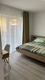 Gesamte Unterkunft in der Hirtenaue, Ziegelhausen, bild 1 von 10