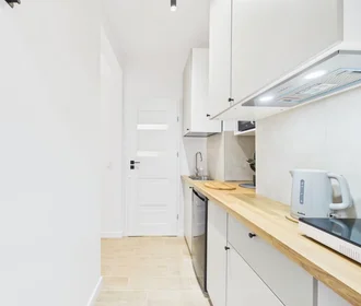 Entire apartment at Mała, Praga-Północ, image 6 of 10