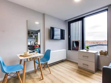 Studio at Gardiner Street Lower, image 3 of 11