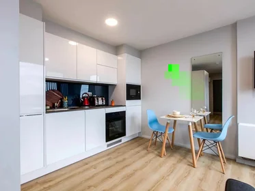 Studio at Gardiner Street Lower, image 4 of 11