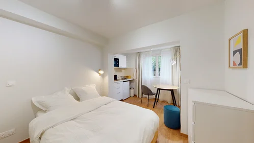 Prywatny pokój 27 bis rue Claude Bernard, 92130, Issy-les-Moulineaux, FR, obraz 1 10