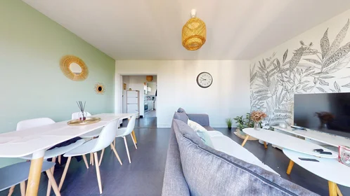 Habitación privada en 23 Rue des Ormeaux, Angers 49100, imagen 8 de 18