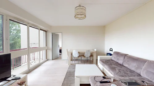 Stanza privata in 4 Rue Louis Mirault, Tours 37000, immagine 1 di 10