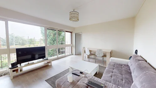 Prywatny pokój 4 Rue Louis Mirault, Tours 37000, obraz 11 25
