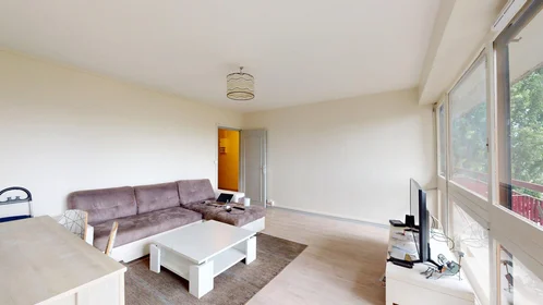 Prywatny pokój 4 Rue Louis Mirault, Tours 37000, obraz 12 25
