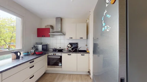 Prywatny pokój 4 Rue Louis Mirault, Tours 37000, obraz 13 25