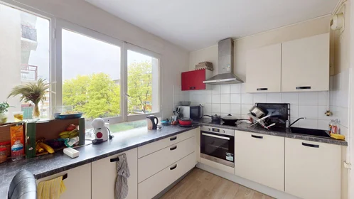 Prywatny pokój 4 Rue Louis Mirault, Tours 37000, obraz 14 25