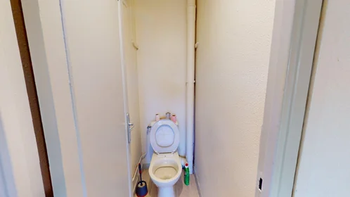 Prywatny pokój 4 Rue Louis Mirault, Tours 37000, obraz 24 25