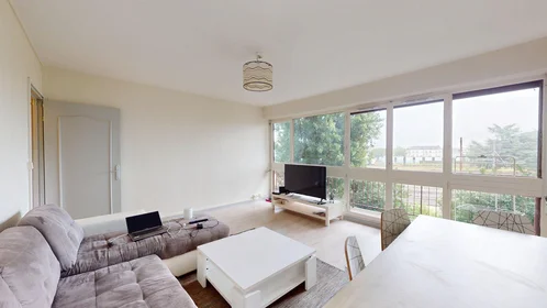 Prywatny pokój 4 Rue Louis Mirault, Tours 37000, obraz 10 25