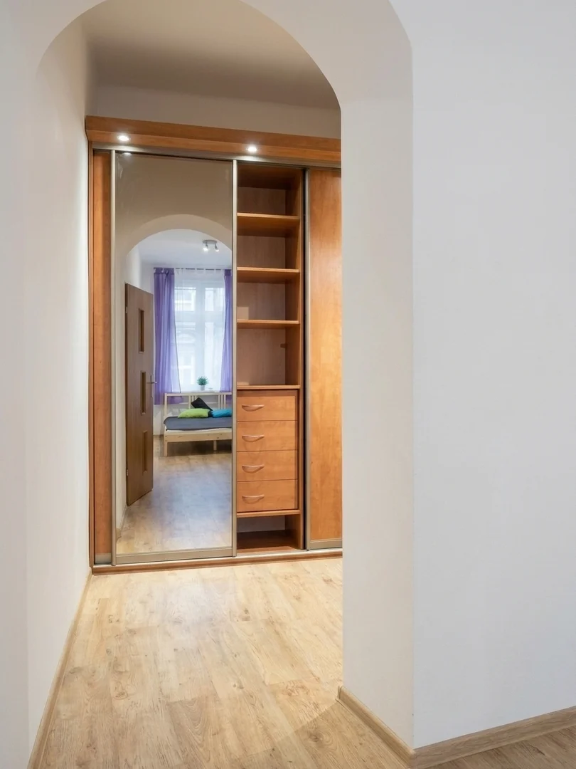 Affordable room for students with ample lighting in 