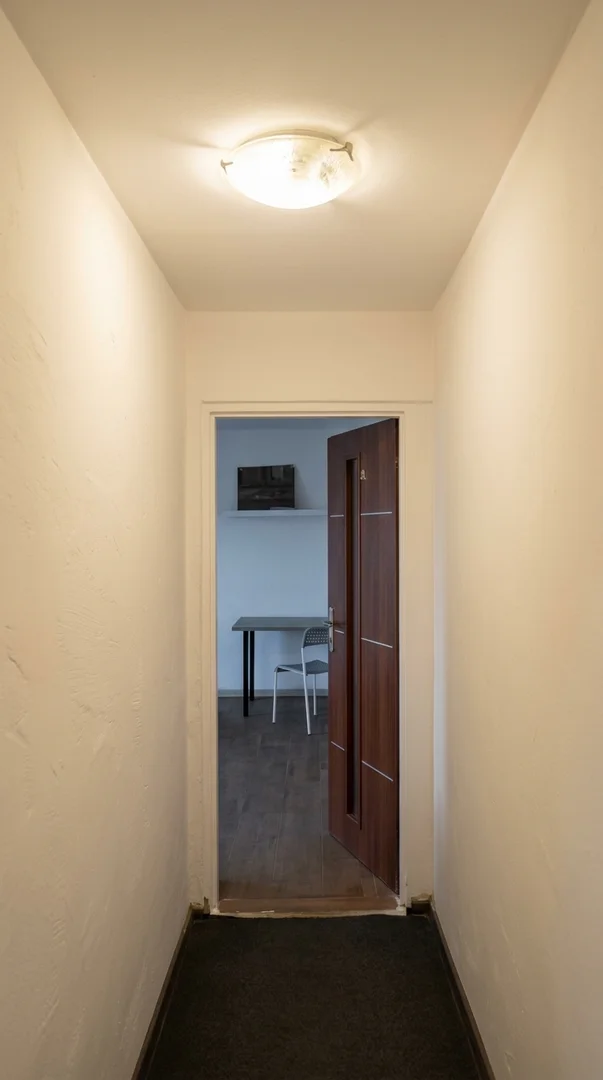 Affordable room for students with ample lighting in 