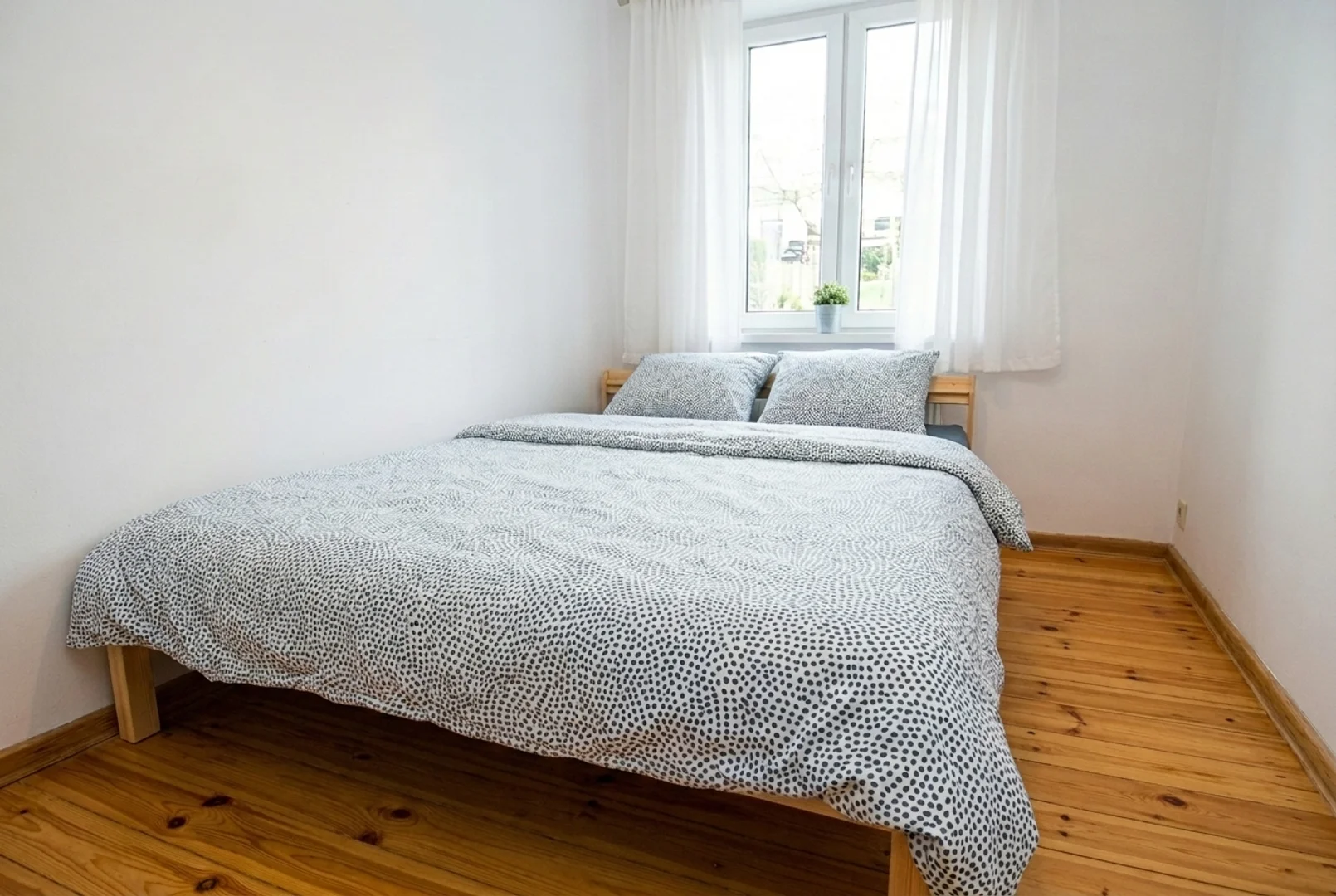 Cozy room for students available in 