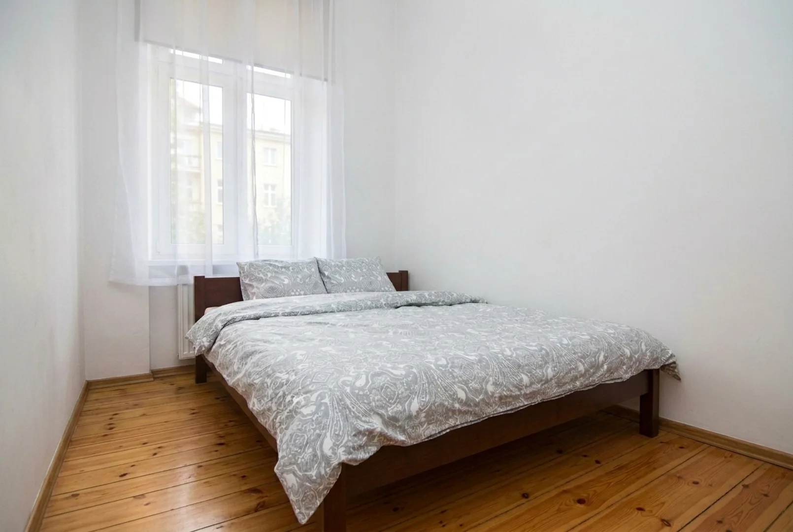 Affordable room for students with ample lighting in 