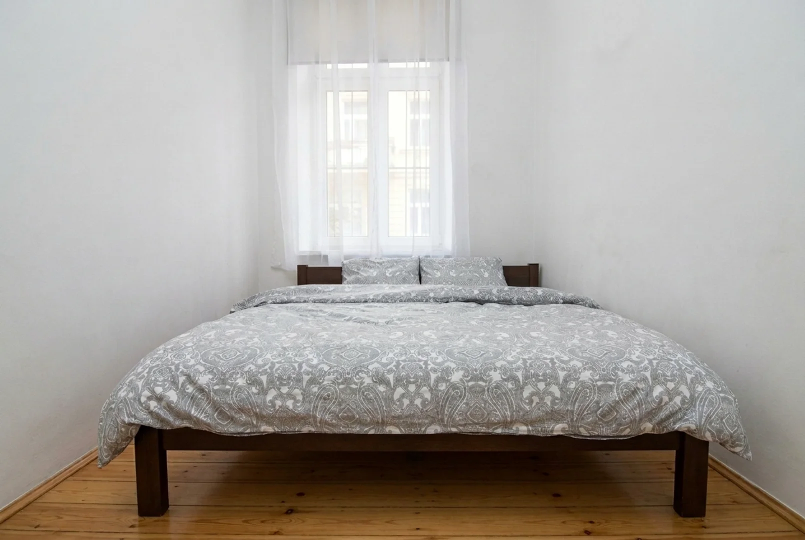 Affordable room for students with ample lighting in 