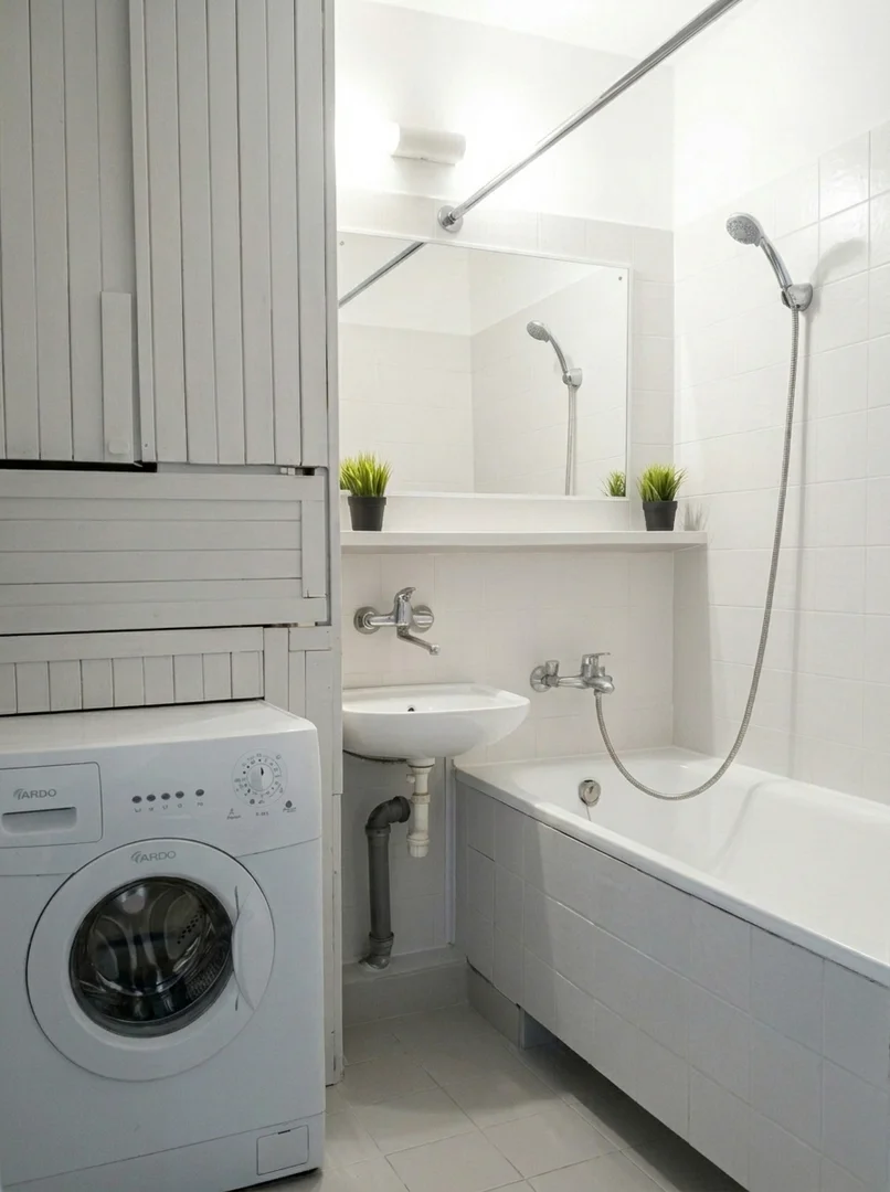 Affordable room for students with ample lighting in 