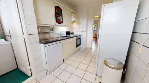 Stanza privata in 7 Av. Auguste Blanqui, 69100 Villeurbanne, France, immagine 7 di 17