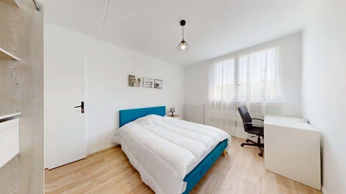 Privatzimmer in der 3 Rue Auguste Renoir, 33400 Talence, France, bild 2 von 17