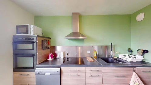 Prywatny pokój 2 Rue de Quizac, 29200 Brest, France, obraz 12 19