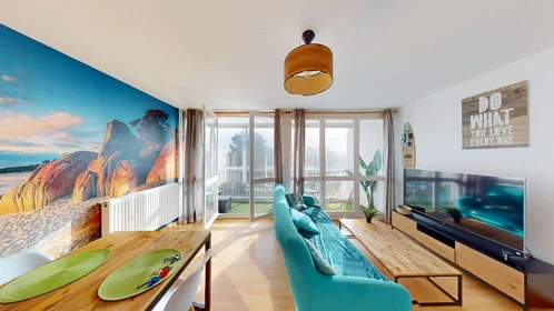 Prywatny pokój 2 Rue de Quizac, 29200 Brest, France, obraz 4 19