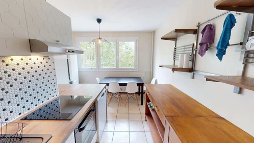 Privatzimmer in der 6 Pl. Beaumarchais, 38130 Échirolles, France, bild 12 von 21