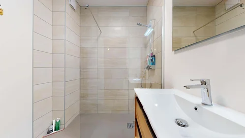 Prywatny pokój 72 Rue Joseph Bouchayer, 38000 Grenoble, France, obraz 13 18