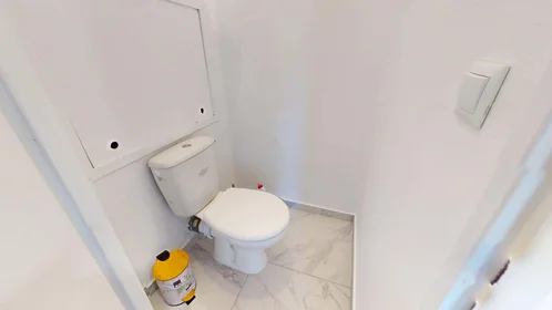 Privatzimmer in der 3 Rue Auguste Renoir, 33400 Talence, France, bild 15 von 17