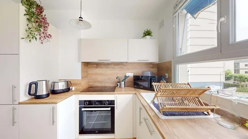 Prywatny pokój 1 Rue Clément V, 45000 Orléans, France, obraz 12 21