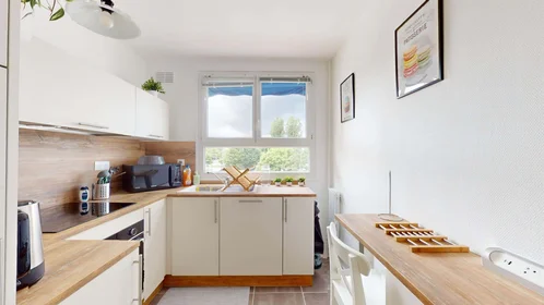 Prywatny pokój 1 Rue Clément V, 45000 Orléans, France, obraz 13 21