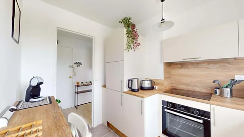 Prywatny pokój 1 Rue Clément V, 45000 Orléans, France, obraz 14 21