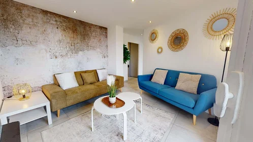 Stanza privata in 90 Rue Greuze, 69100 Villeurbanne, France, immagine 13 di 16